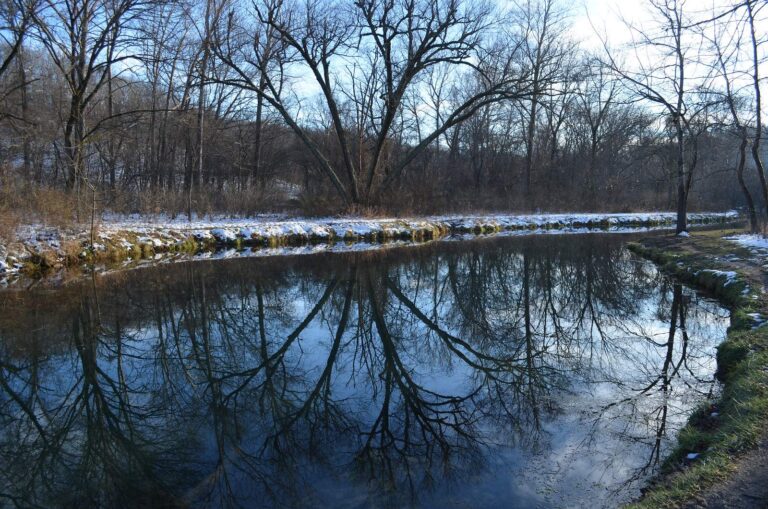 Pigeon Creek, Missouri