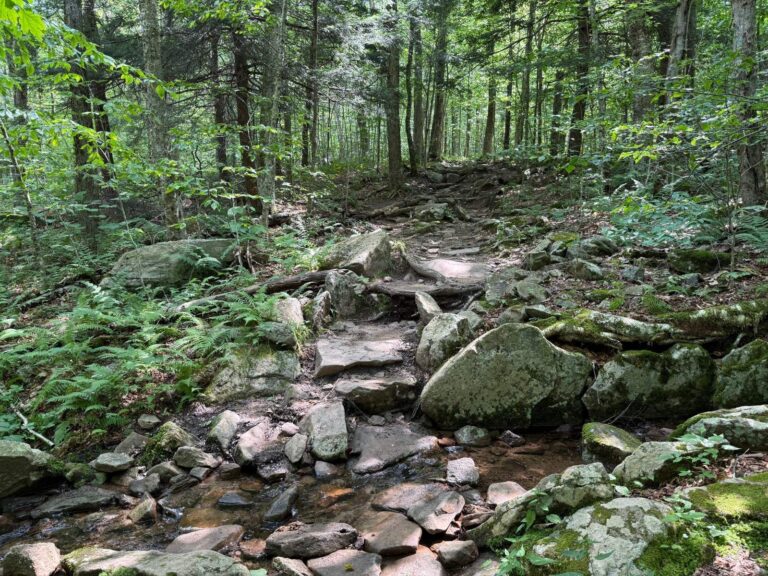 Neversink River, New York