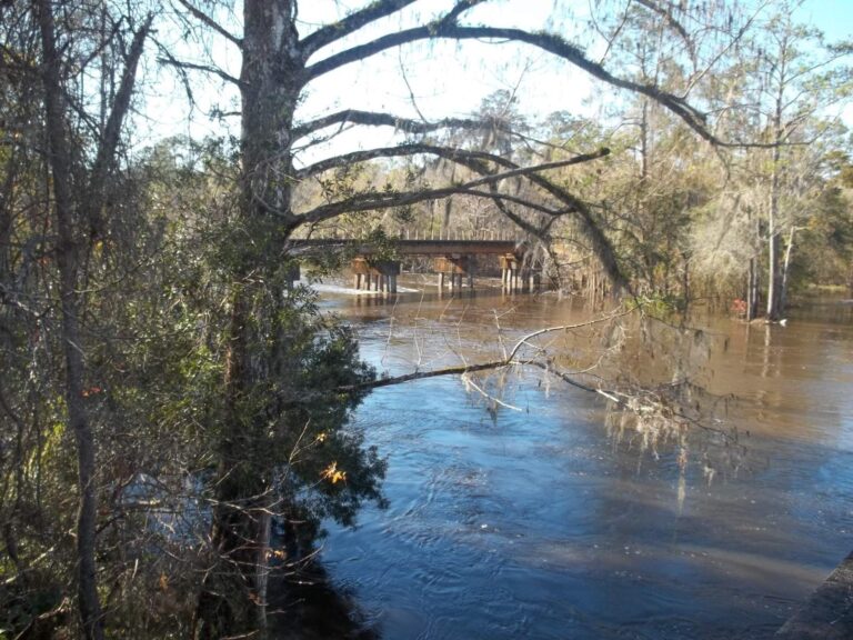 Ochlockonee River, Georgia