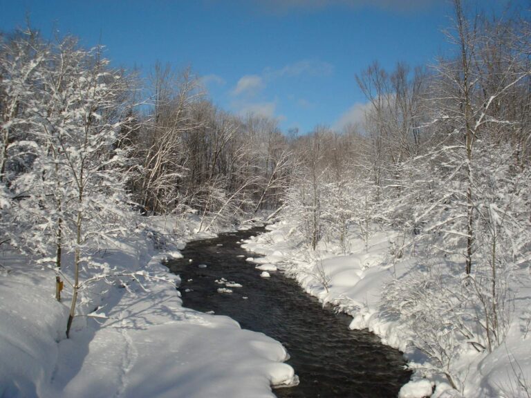 Salmon River, Clinton County, New York