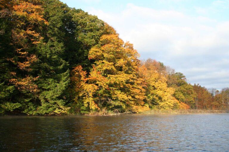 Salmon River, Clinton County, New York