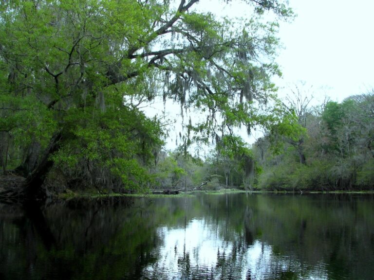 Santa Fe River, Florida