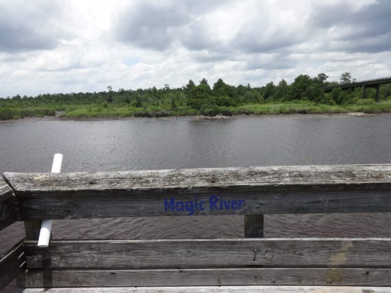 Satilla River, Georgia