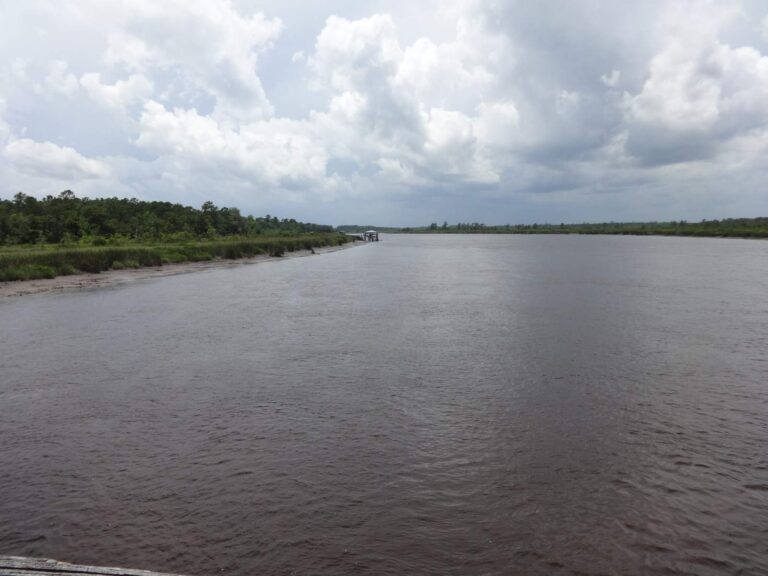 Satilla River, Georgia