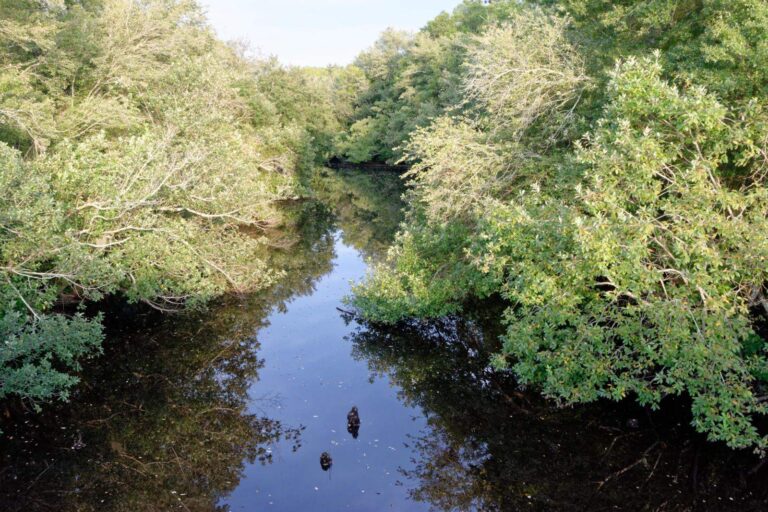 Satilla River, Georgia