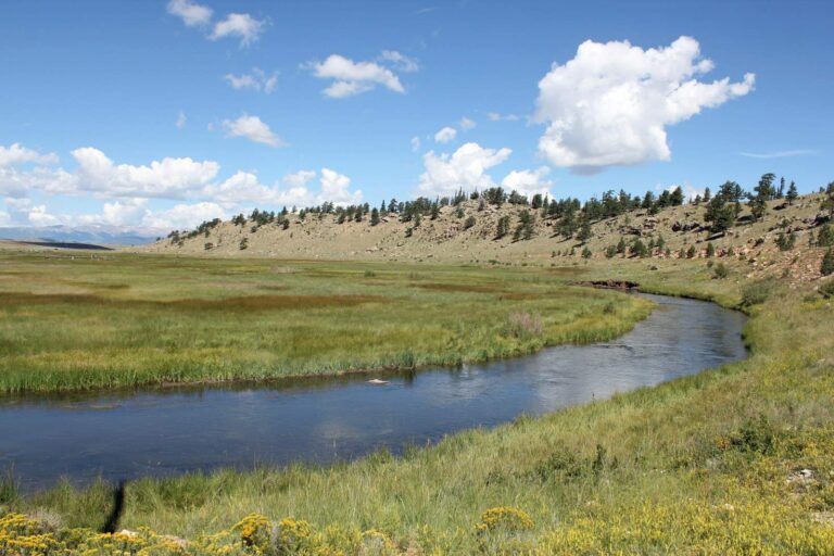 South Platte River, Colorado