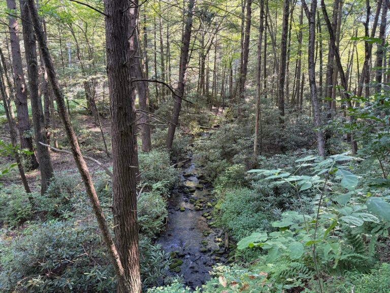 Spring Creek, Centre County, Pennsylvania