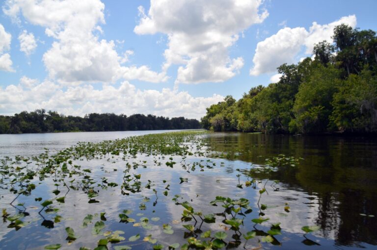 St. Johns River, Florida