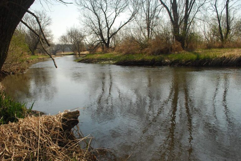 Sugar River, Wisconsin