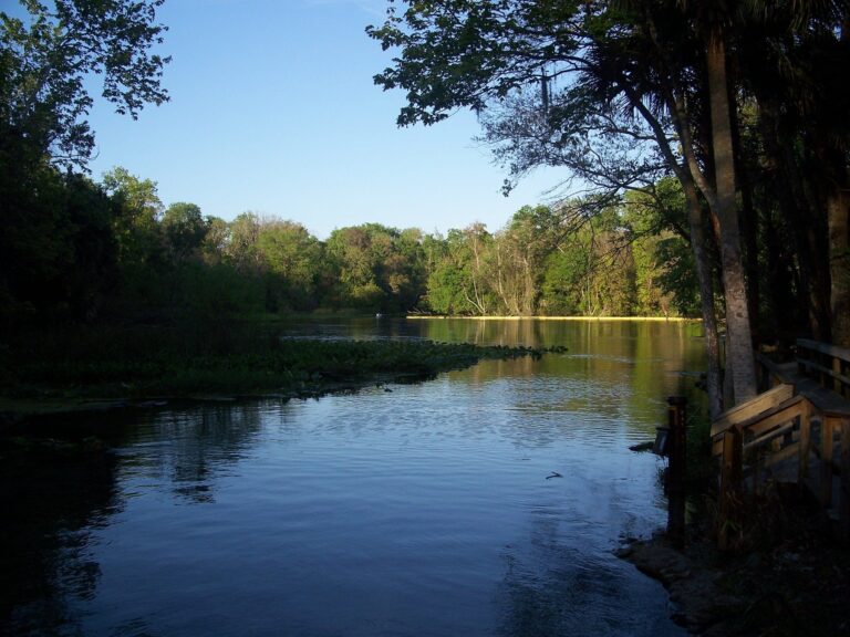 Wekiva River, Florida