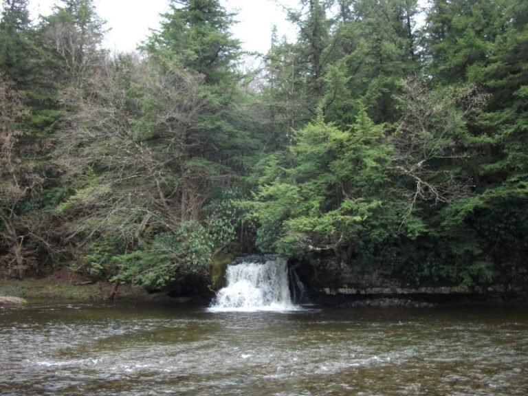 Willowemoc Creek, New York