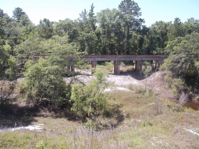 Withlacoochee River, Georgia