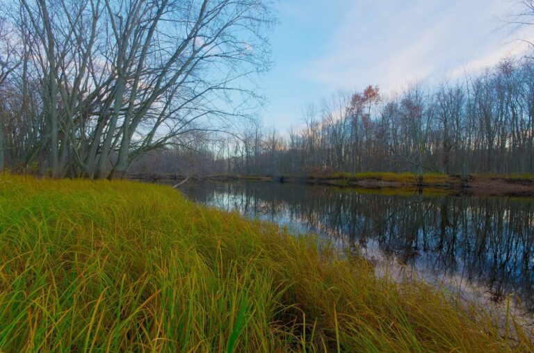 Wolf River, Wisconsin