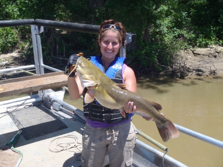 Flathead Catfish, Michigan