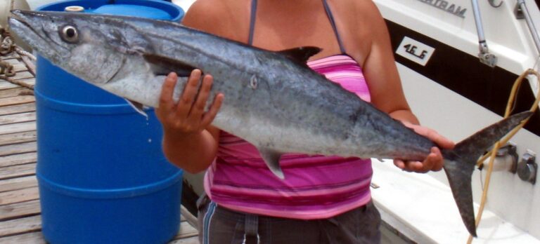 King Mackerel, Georgia