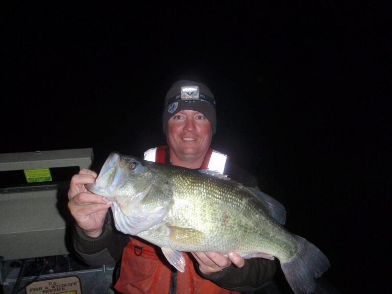 Largemouth bass, California