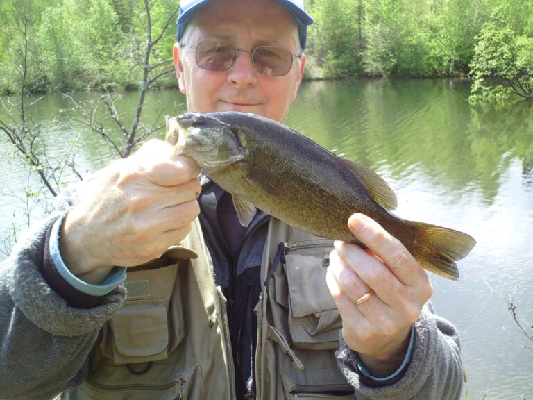 Smallmouth bass, North Carolina