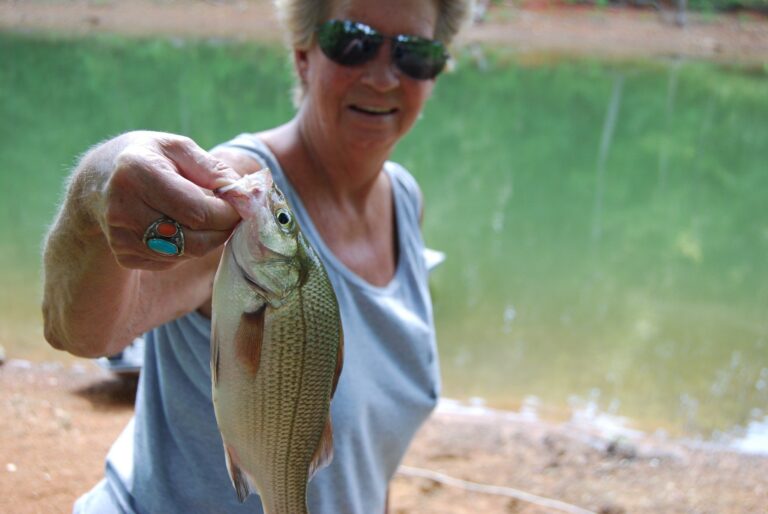 White bass, North Carolina