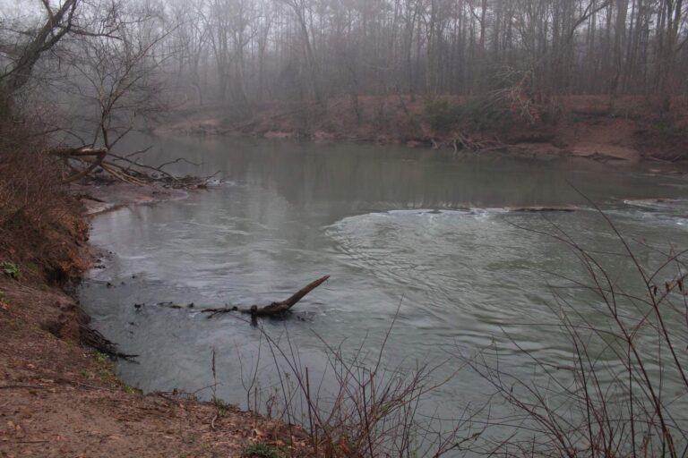 Fulton County, Georgia