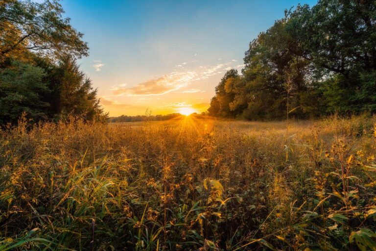 Boone County, Missouri