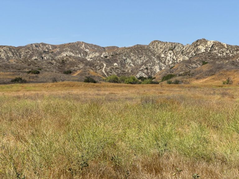 Moreno Valley, California