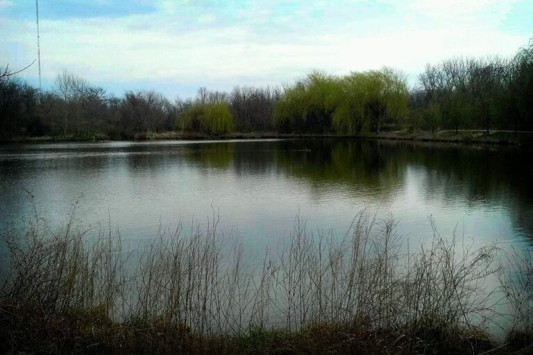 Greene County, Missouri