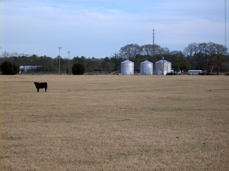 Tar Heel, North Carolina